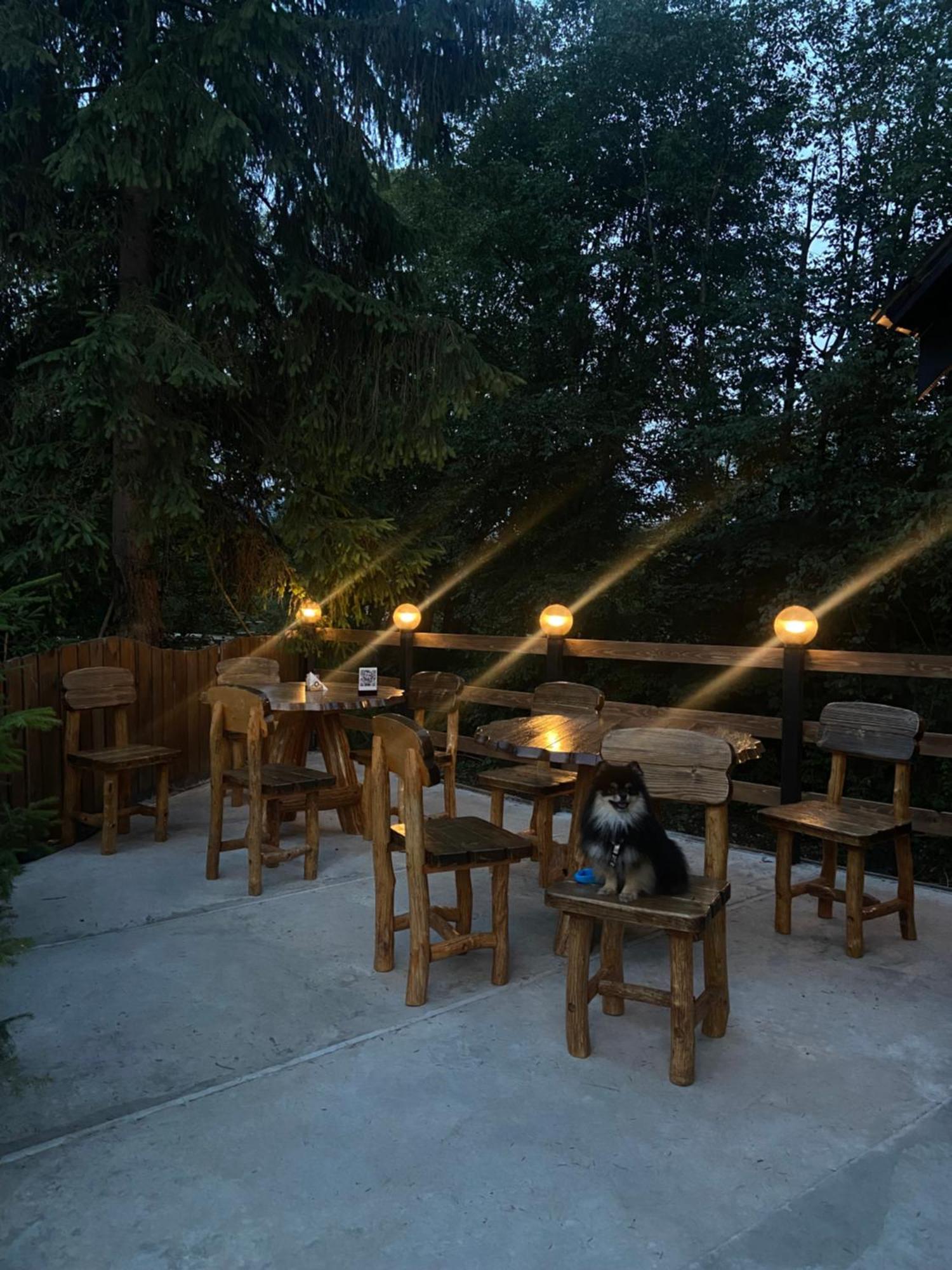Водограй Hotel Vorochta Buitenkant foto