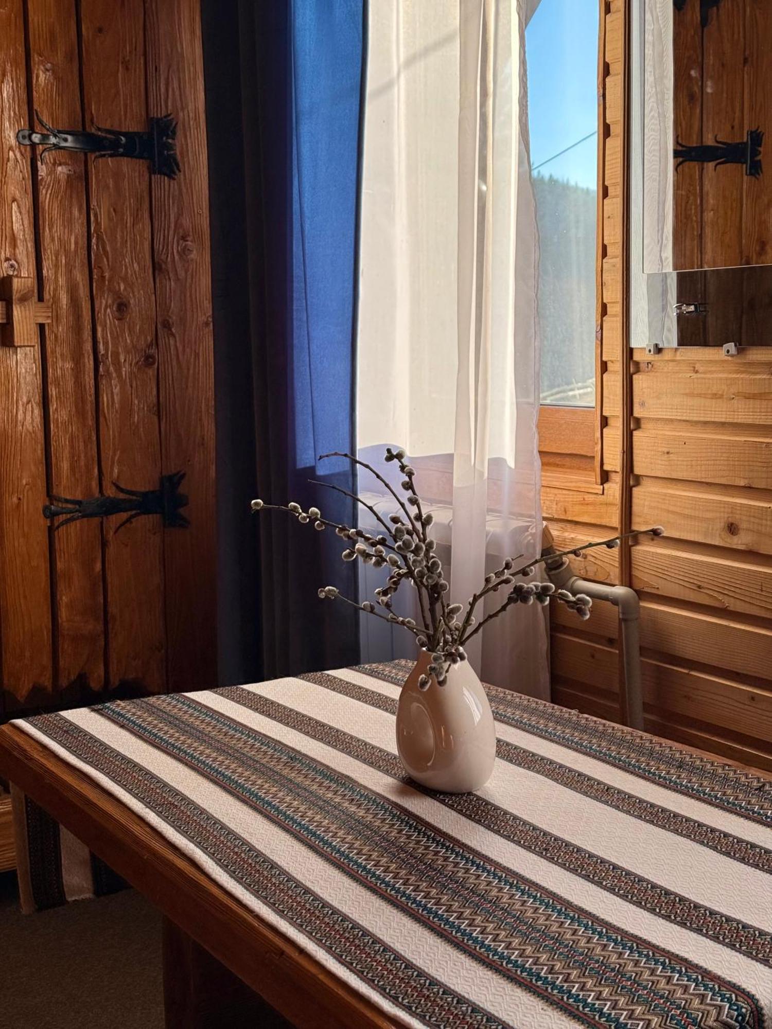 Водограй Hotel Vorochta Buitenkant foto